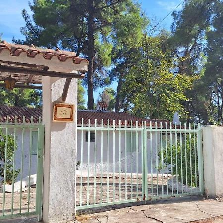 Villa Nefeli Sani  Zewnętrze zdjęcie