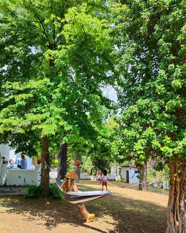 Villa Nefeli Sani  Zewnętrze zdjęcie